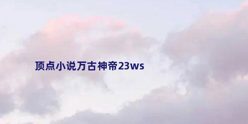 顶点小说万古神帝23ws