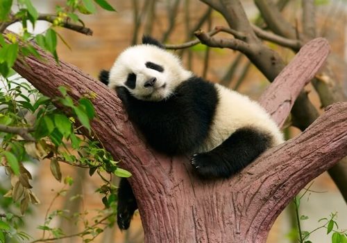 单人游戏推荐哪个 十大必玩单人游戏盘点