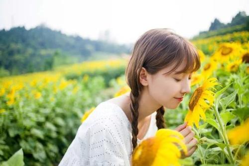 超级yy种马小说女主超级多的